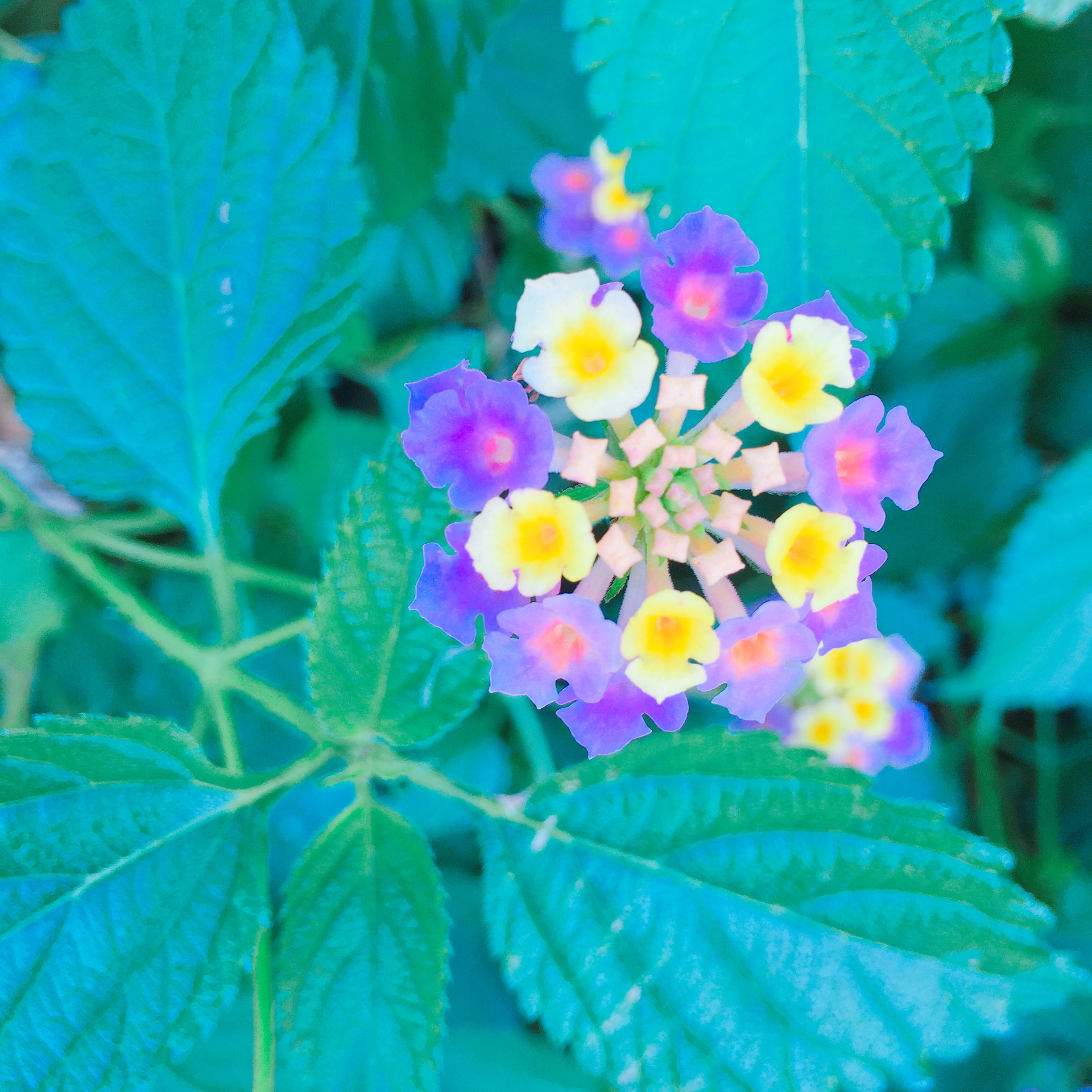 すき間が空くので写真を入れてみた